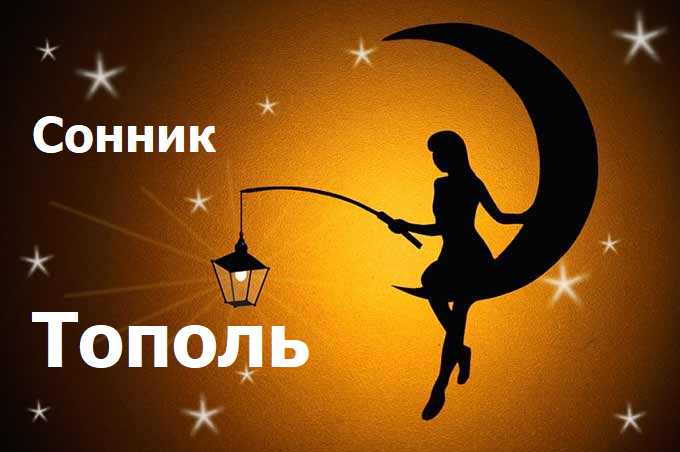 Тополь Тополь